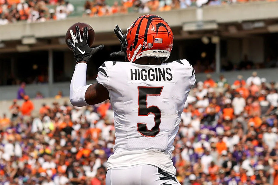Tee Higgins identified as Bengals' breakout player for 2021 NFL season -  Official Website & Merchandise of Tee Higgins