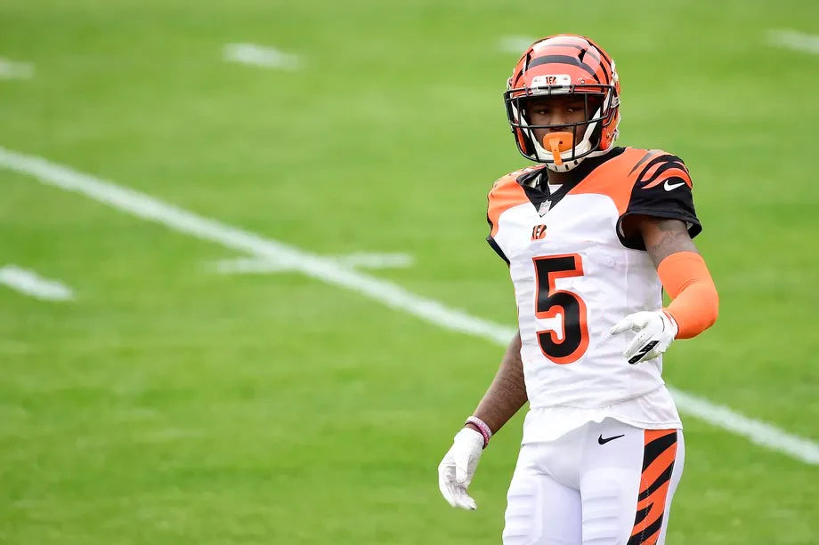 Nate Burleson, Tyler Boyd say Tee Higgins reminds them of Megatron